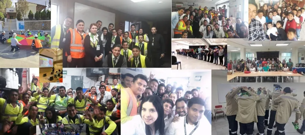Programas impartidos por EVOLVE Consultores